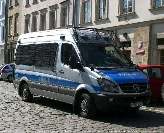 Dzieci za kierownicą radiowozu, potem slalom w alkogoglach