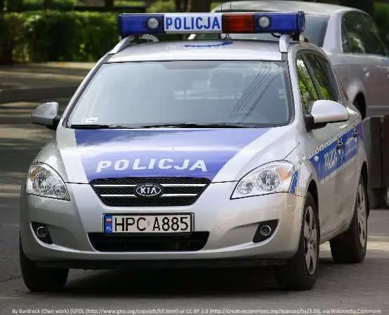 Nocny ogień w Ochotnicy Dolnej - 22-latek trafił do aresztu