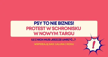 Grafika promocyjna wydarzenia PROTEST w schronisku w Nowym Targu – mieszkańcy domagają się zmian