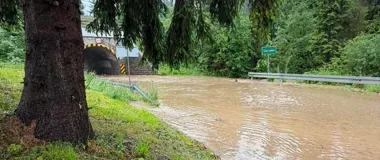 43 interwencje po burzach - nowotarscy strażacy walczyli z wodą i drzewami