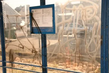 Spray na przystanku i replika pistoletu - 20-latek wpadł po interwencji